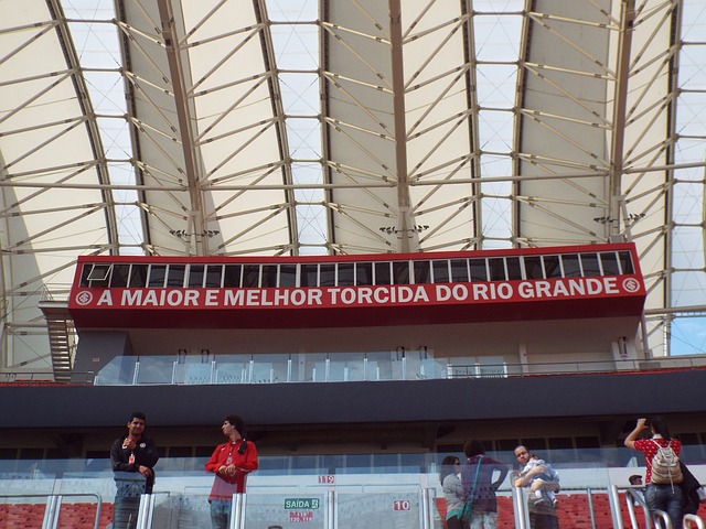 羽毛球单项 羽毛球单项