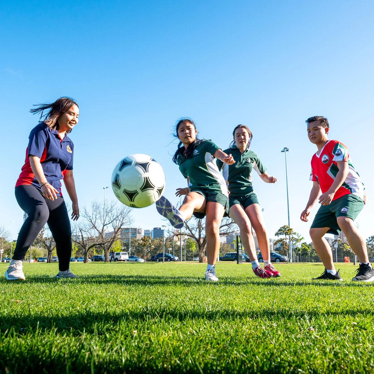 的是哈雷尔 的是哈雷尔