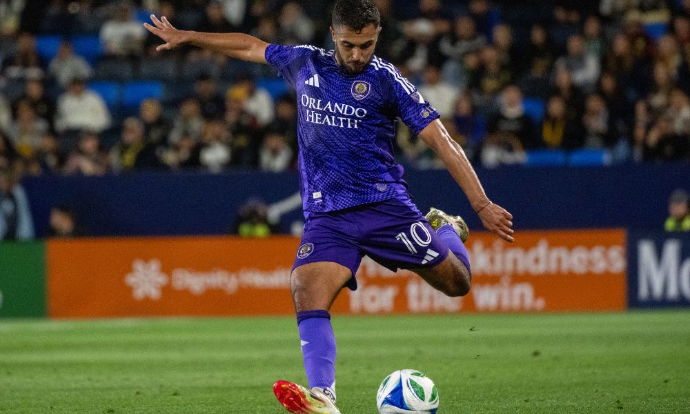 意志的双重 意志的双重